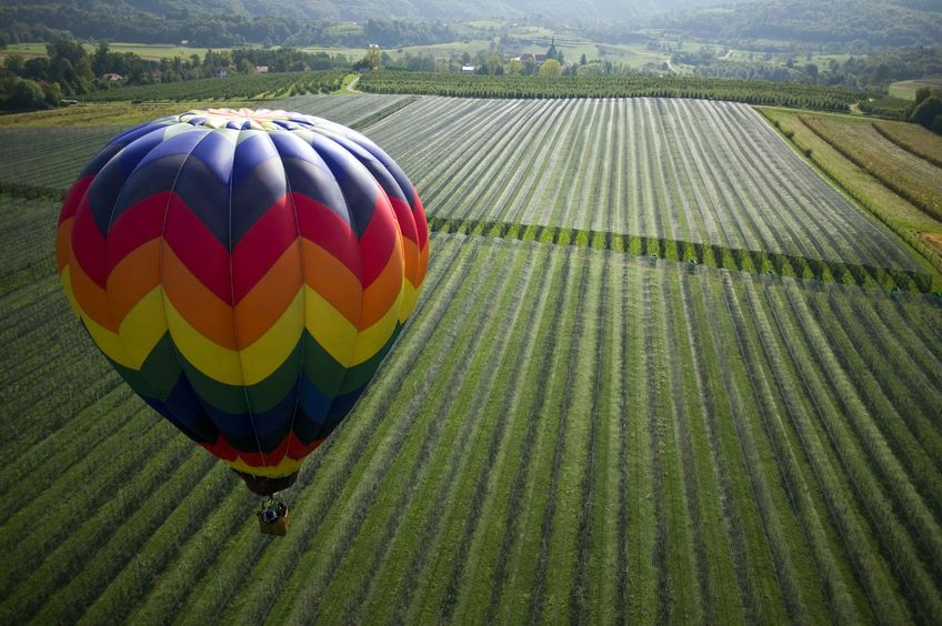 Explore Healdsburg With A Hot Air Balloon Ride